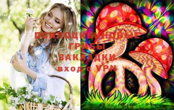 не бодяженный Абаза