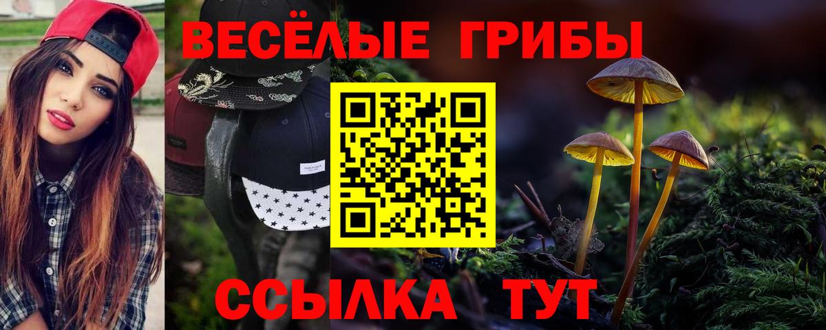 Галлюциногенные грибы Magic Shrooms  Галлюциногенные грибы мицелий  Воронеж  Вход с VPN 