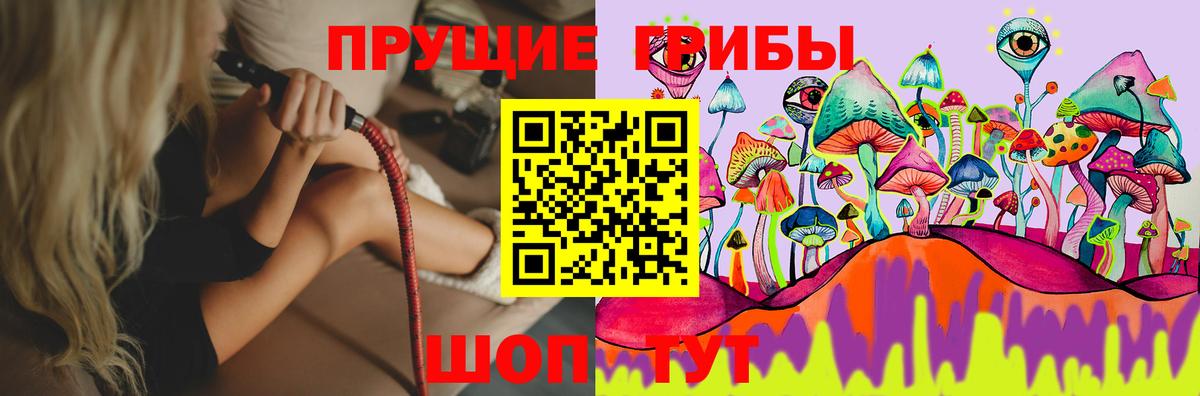 Псилоцибиновые грибы Psilocybe Воронеж